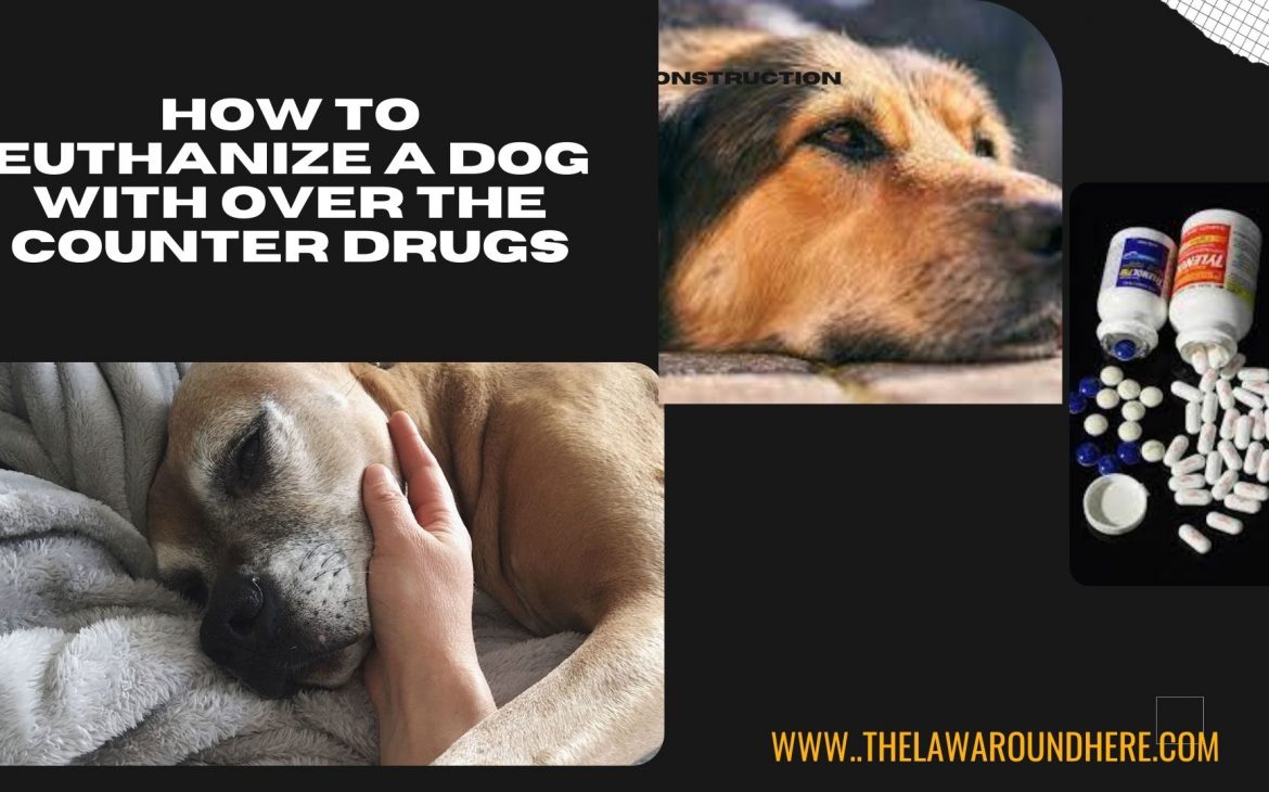 how to enthausie a dog with over the counter drugs.